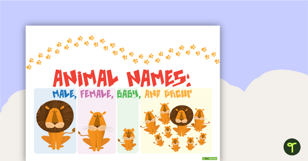 Male, Female, Baby, and Group Animal Names- Posters | Teach Starter