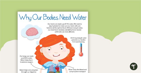 Preview image for Why Our Bodies Need Water Poster - teaching resource