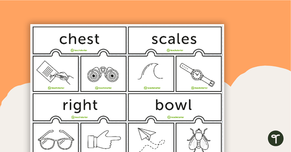 Preview image for Multiple Meaning Match-Up Cards (Black and White Version) - teaching resource
