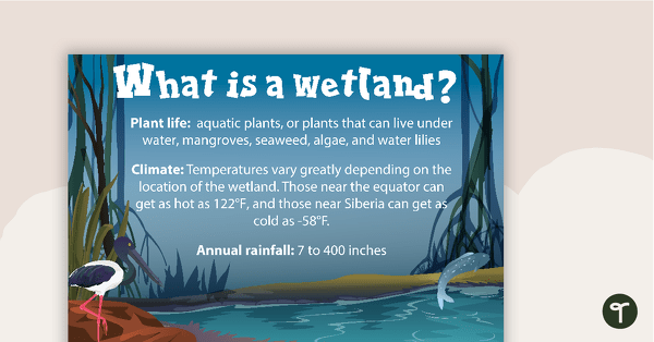 Go to What is a Wetland? Poster teaching resource