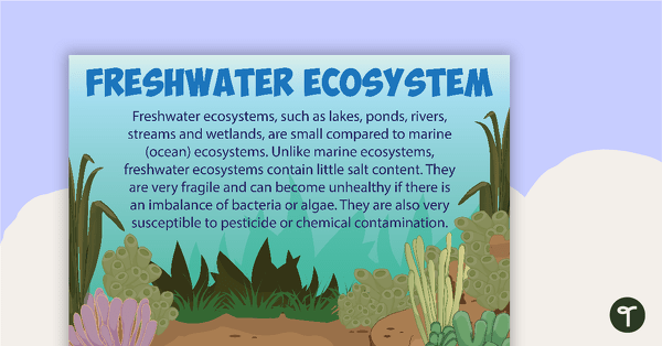 Go to Freshwater Ecosystems Poster teaching resource