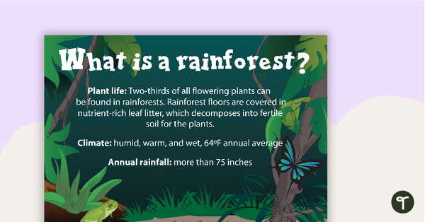 Go to What is a Rainforest? Poster teaching resource