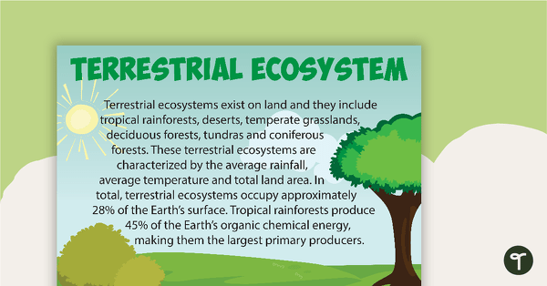 Go to Terrestrial Ecosystem Poster teaching resource