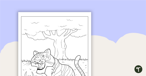 Tiger Colouring in Sheet teaching resource