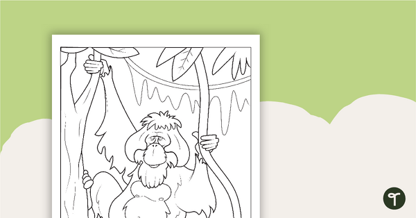 Orangutan Colouring in Sheet teaching resource