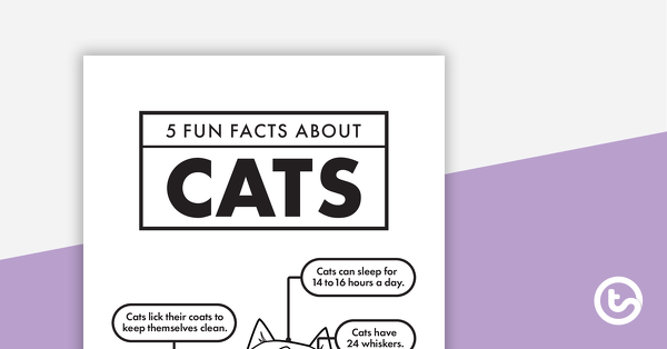 5 Fun Facts About Cats - Read and Respond Worksheet teaching resource