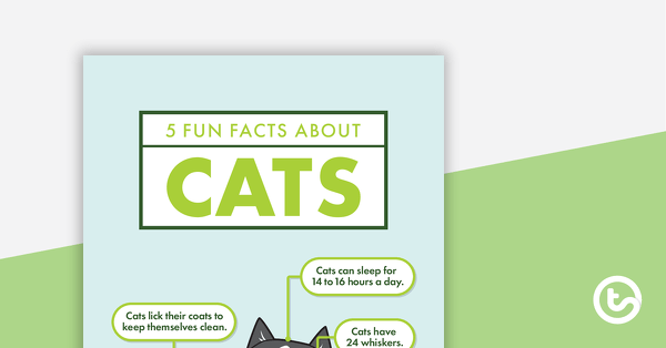 Preview image for 5 Fun Facts About Cats - Read and Respond Worksheet - teaching resource