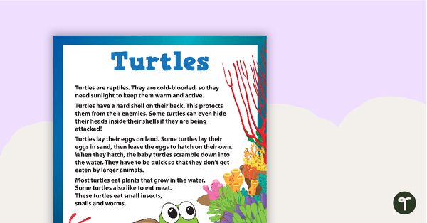 Go to Finding The Main Idea - Comprehension Task (Turtles) teaching resource