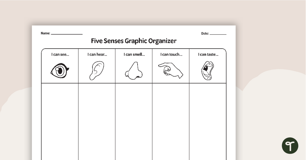 Five Senses Graphic Organizer teaching resource