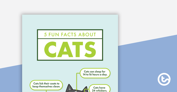 5 Fun Facts About Cats - Read and Respond Worksheet teaching resource
