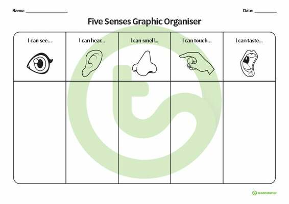 Five Senses Graphic Organiser teaching resource