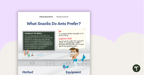 Science Experiment - What Snacks Do Ants Prefer? teaching resource