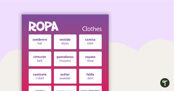 Clothes - Spanish Language Poster teaching resource