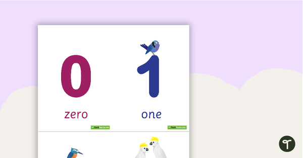 Go to 0-20 Number and Word Flashcards - Birds teaching resource