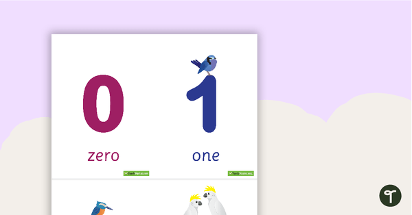 Preview image for 0-20 Number and Word Flashcards - Birds - teaching resource