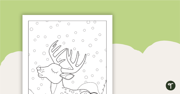 Go to Reindeer Colouring in Sheet teaching resource