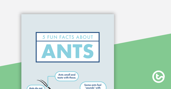Go to 5 Fun Facts About Ants - Read and Respond Worksheet teaching resource