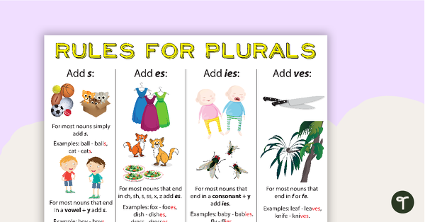 Rules for Plurals - s, es, ies, ves teaching resource