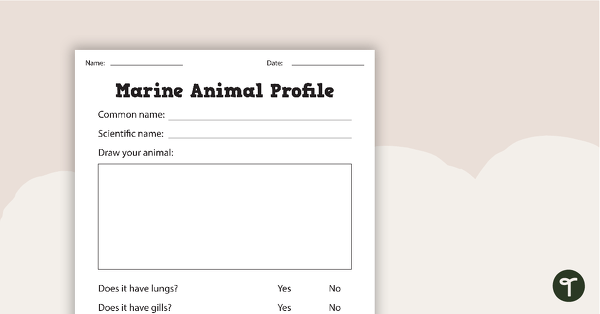Marine Animal Profile Worksheets teaching resource