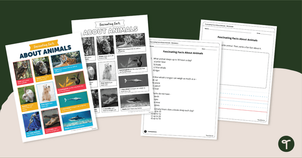 Go to Fascinating Facts About Animals – Comprehension Worksheet teaching resource