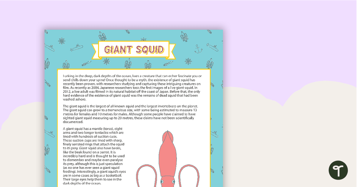 Preview image for Comprehension - Giant Squid - teaching resource