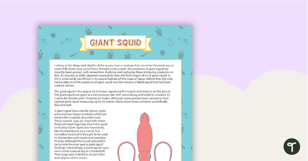Go to Comprehension - Giant Squid teaching resource