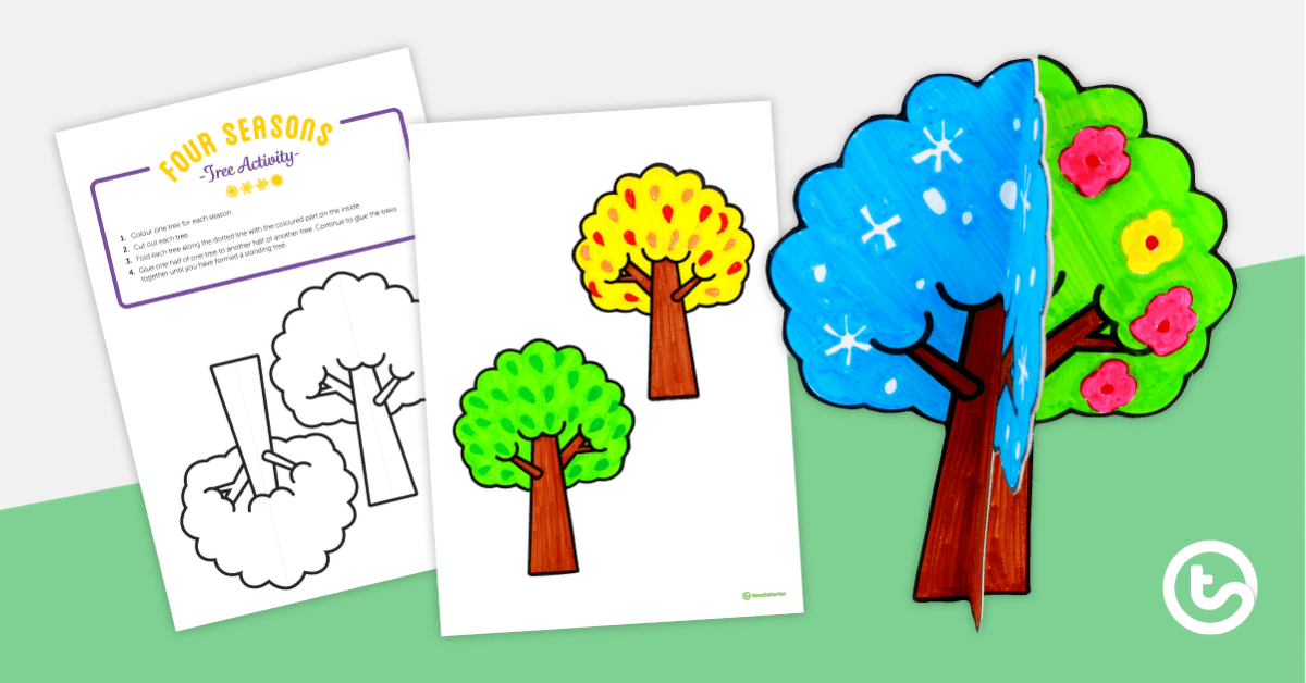 Four Seasons Tree Activity teaching resource