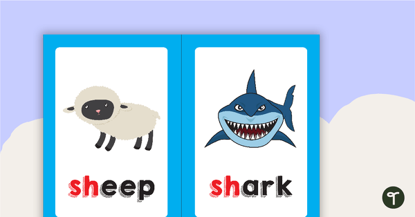 Go to Sh Digraph Flashcards teaching resource