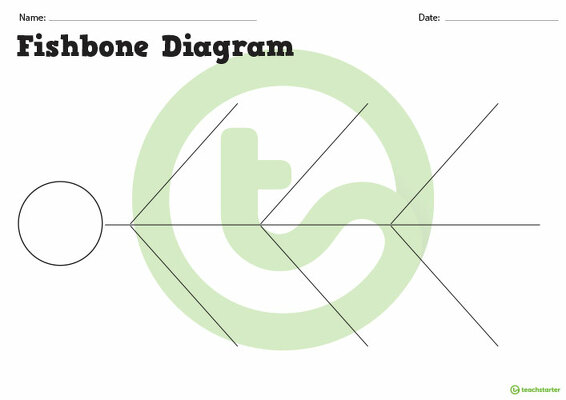 Fishbone/Herringbone Graphic Organiser teaching resource
