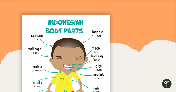 Parts of the Body - Indonesian Language Poster teaching resource