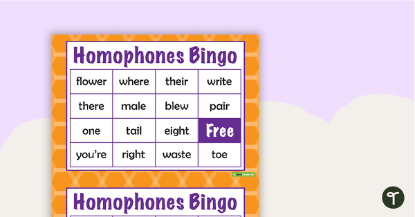 Go to Homophones Bingo teaching resource
