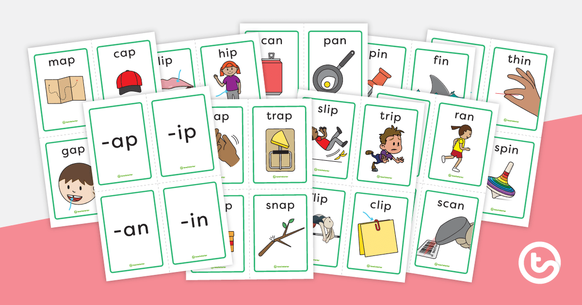 Word Family Sorting Cards teaching resource