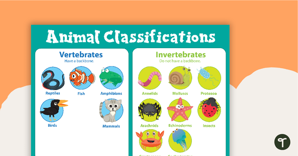 Go to Vertebrates and Invertebrates Animal Classification Poster teaching resource