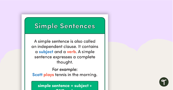 Image of Types of Sentences Posters - Large Text