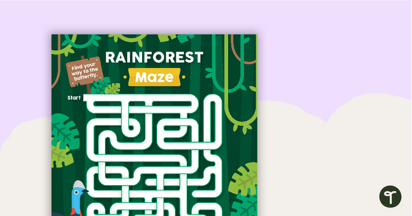 Rainforest Maze teaching resource