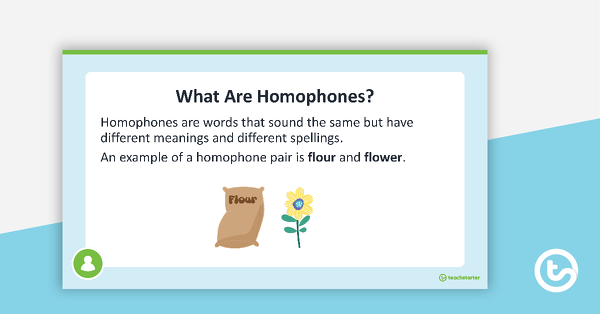Introduction to Homophones PowerPoint teaching resource