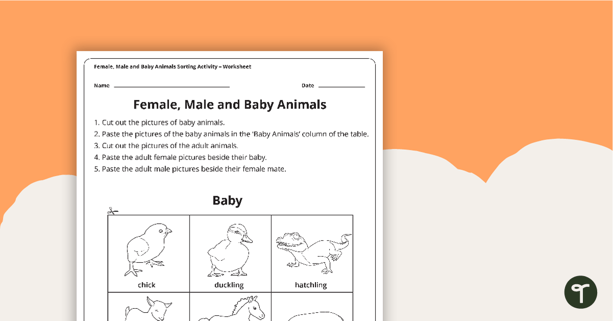 Female, Male and Baby Animals Sorting Activity teaching resource