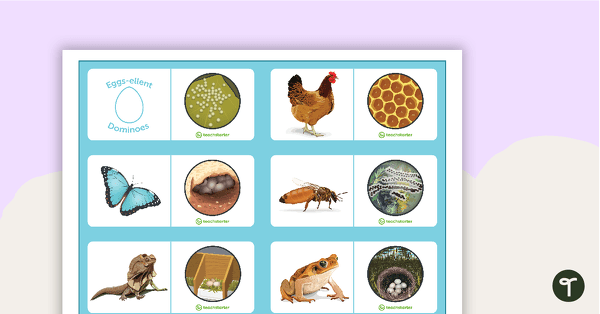 Preview image for Eggs-ellent Dominoes - teaching resource