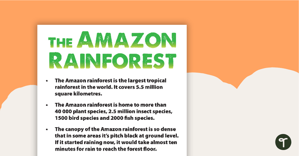 Image of Amazon Rainforest Fact Sheet