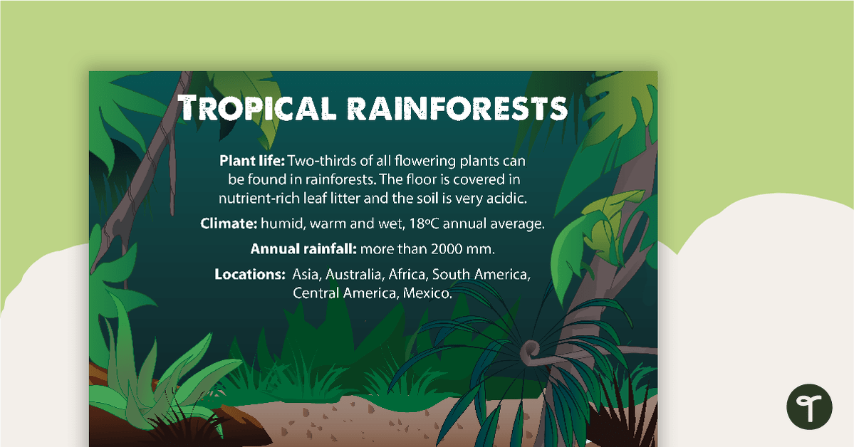 Tropical Rainforests Fact Sheet teaching resource