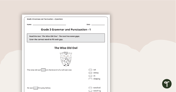 Go to Grammar and Punctuation Assessment Tool - Grade 3 teaching resource