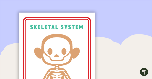 Go to Skeletal and Circulatory System Posters for Young Children teaching resource