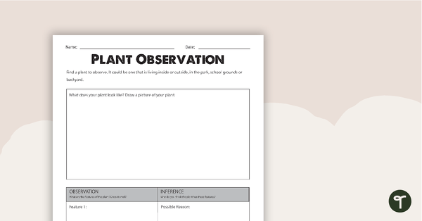 Plant Observation Worksheet teaching resource