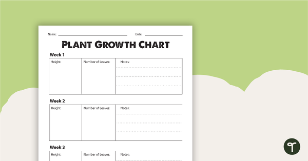 Plant Growth Chart Worksheet teaching resource