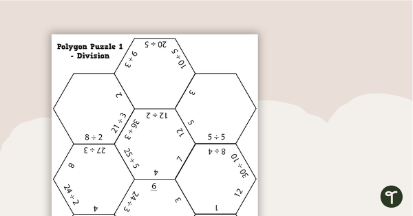 Polygon Puzzles - Division Worksheets teaching resource