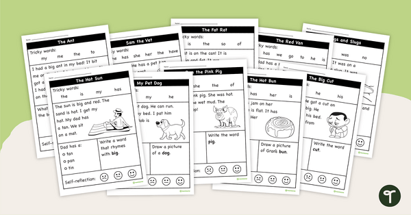 Go to Decodable Text Worksheets - Single Graphemes (Set 1) teaching resource