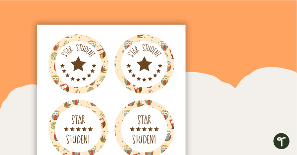 Go to Owls Pattern - Star Student Badges teaching resource