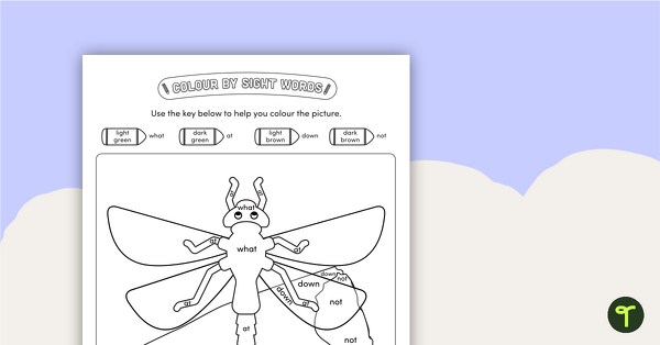 Colour by Sight Words - 4 Words - Dragonfly teaching resource