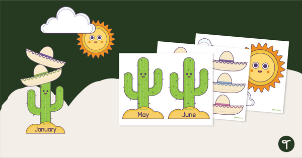 Preview image for Cactus and Sombrero Birthday Display Template - teaching resource