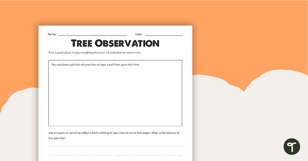 Tree Observation Worksheet teaching resource